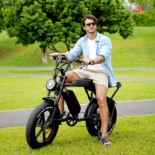 C80 20-Zoll-Fette Reifen Elektrofahrrad lange Ausdauer